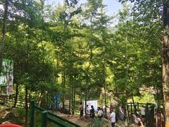 -大围山峡谷漂流