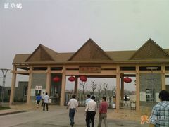 -上海都市菜园