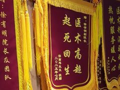-北京派仕佳德动物医院·超导核磁·CT·神经科·骨科·内外科·急重症管理中心