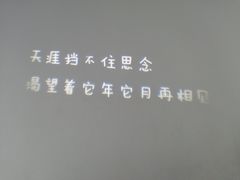 -成都失恋馆