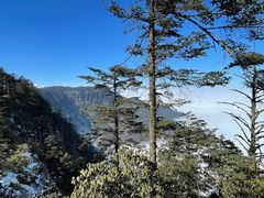 -瓦屋山景区