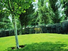 -北京野生动物园