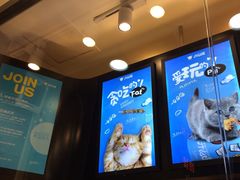 -开心猫(太平街店)