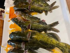 -融泽漁悦三只耳鱼火锅(南郑大道店)