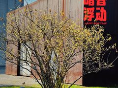 -龙美术馆西岸馆-停车场