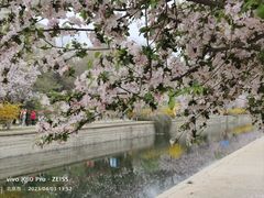 -海棠花溪(元大都城垣遗址公园)