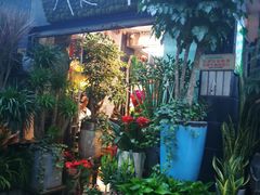 -武汉花鸟市场
