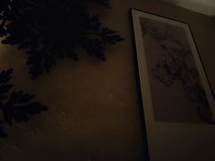 -新紫霞养生·影院足道·SPA(金山区店)