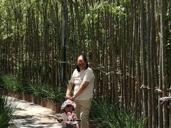 -天津东丽湖风景区