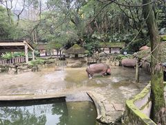 -重庆动物园·东二门售票处