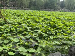 -莲池书院博物馆