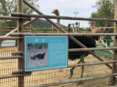 -羊亭河湿地公园