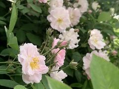 -古宇湖风景名胜区