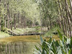 -合肥滨湖国家森林公园