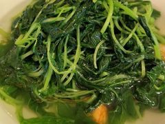 上汤蒜子泡苋菜-利苑酒家(金宝店)