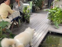 -绿房子方寸咖啡(星海名城店)