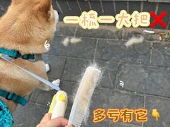 -中农大我爱我爱动物医院·核磁CT·猫病·24小时夜诊中心(石佛营店)