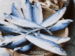 -南沙十九涌渔人码头-南门