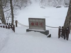 -金水鹤温泉国际酒店