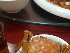 -常州环球恐龙城维景国际大酒店