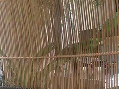 -大头椰·椰子鸡火锅(南宁万象城店)