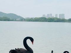 -长兴太湖图影湿地文化园
