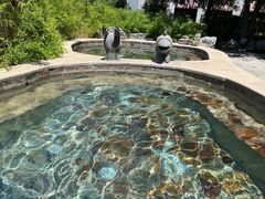 -中家鑫园温泉酒店鑫悦汤泉