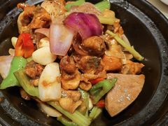 啫啫田鸡煲-肥仔文澳门猪骨煲(南京西路店)