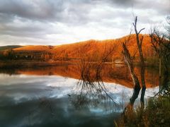 -洮儿河国家湿地公园