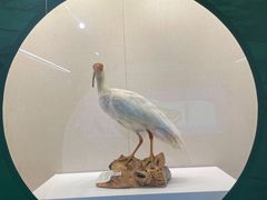 -中国湿地博物馆