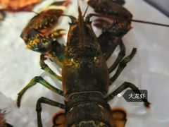 -十四涌水产中心