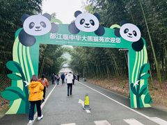 -都江堰中华大熊猫苑