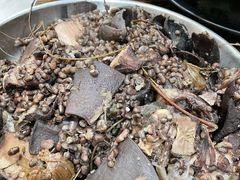 -农汤老店(顺联公园里店)