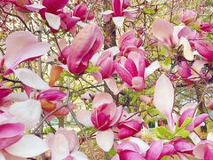 -华润大厦-停车场