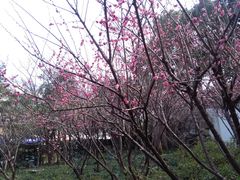 -汇龙潭