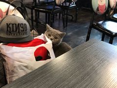 -虎虎龙虾大排档(双井店)