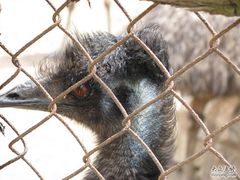 -西安秦岭野生动物园
