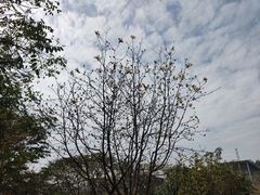 -中国移动南方基地