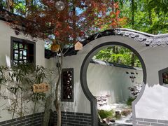 -东平国家森林公园
