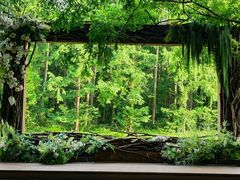 -黄海国家森林公园