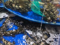 -海景壹号大酒店(滨湖店)