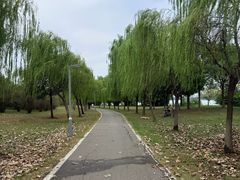 -金银湖国家城市湿地公园