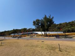 -野狸岛