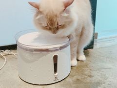 -瞄一喵猫咖(格力海岸店)