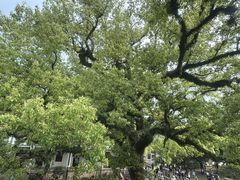 -蒋氏故居