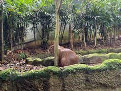 -河川生态园