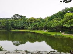 -东莞植物园