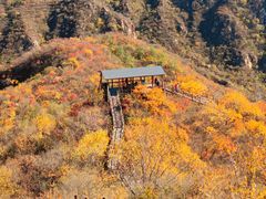 -大岭沟猕猴桃谷风景区