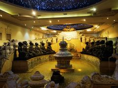 -乐山乌木文化博览苑