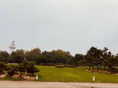 -日照灯塔风景区